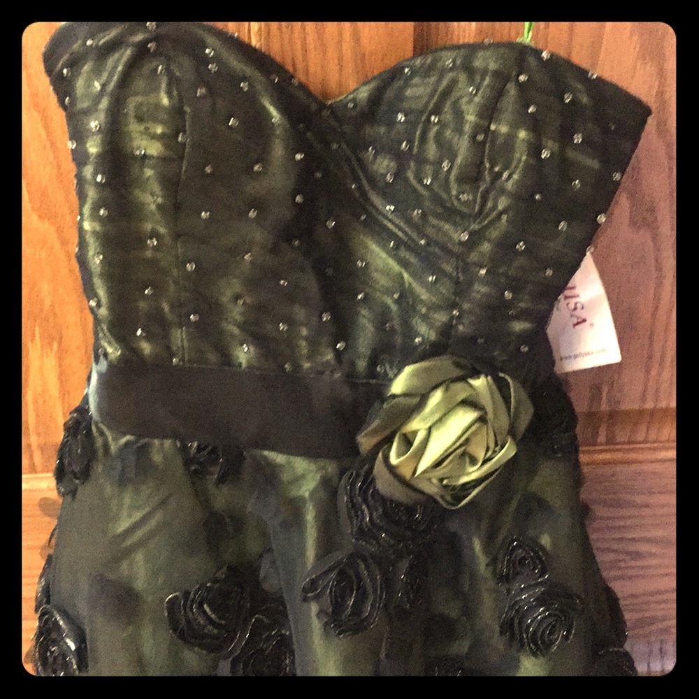 Poly USA Green Rose Formal Gown